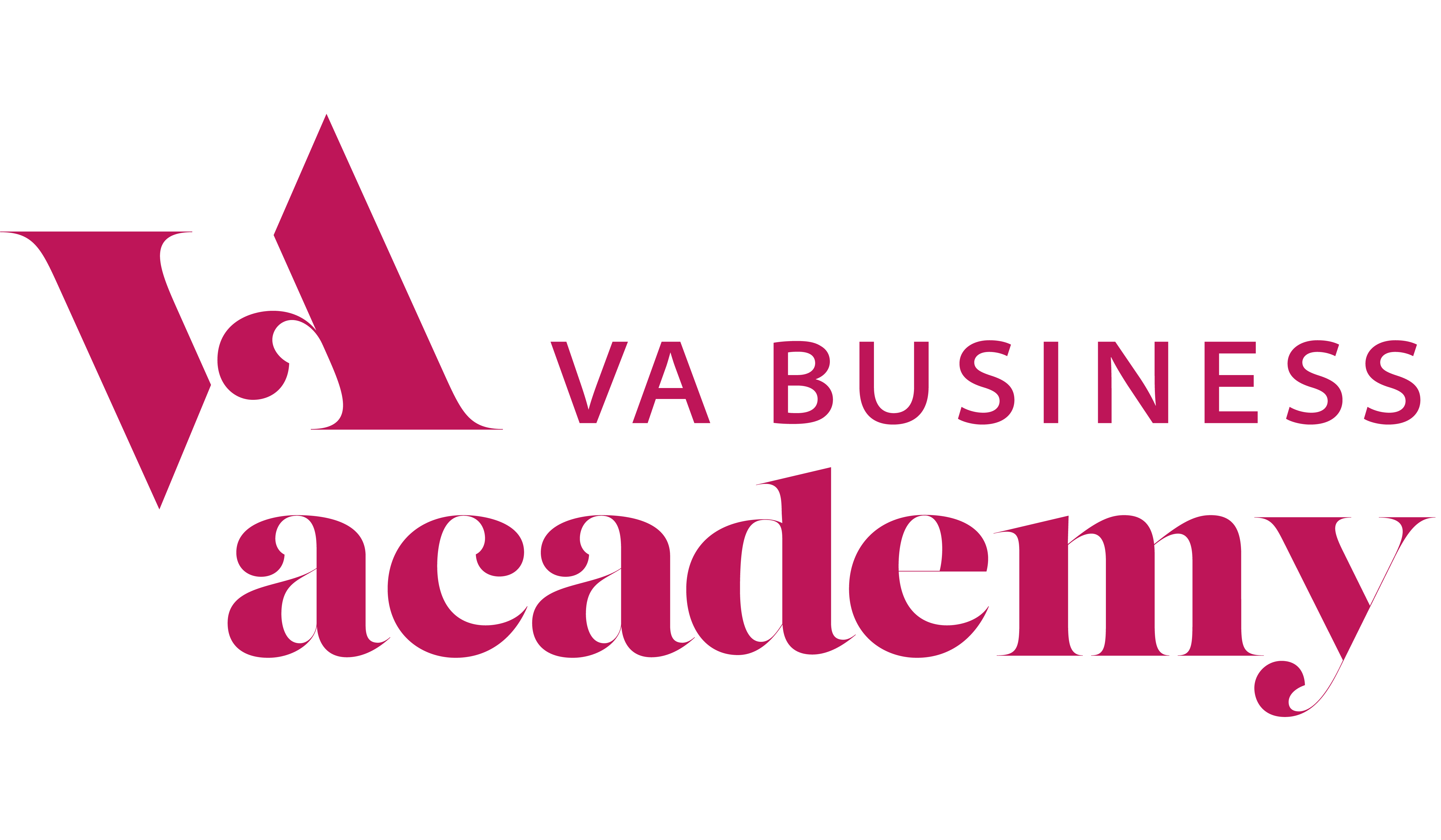 VA Business Academy Lena Lambrecht